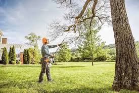 Professional  Tree Services in Sterling, GA